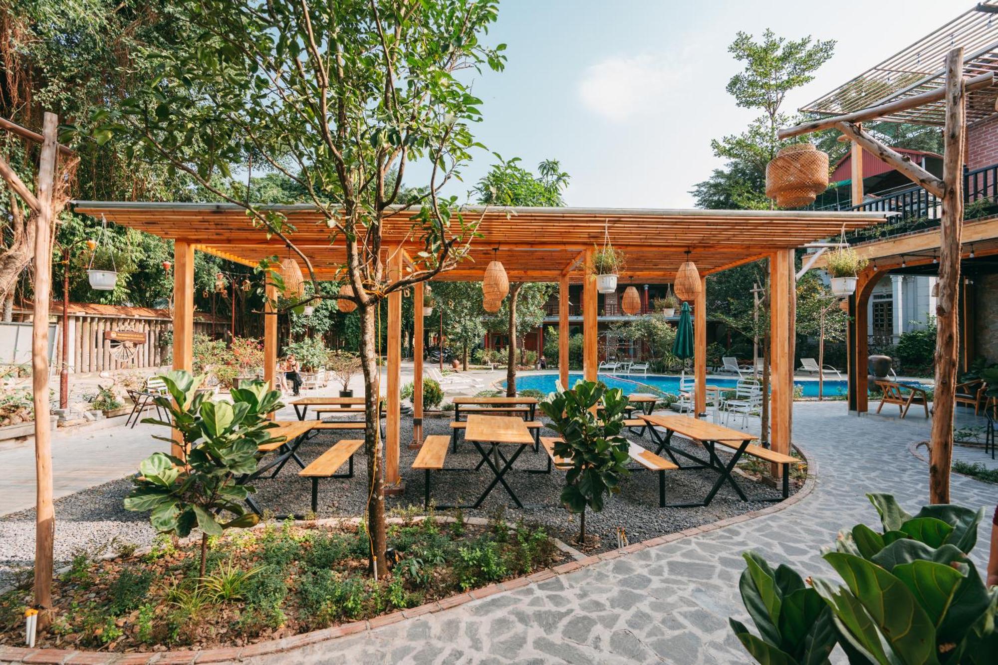 Tam Coc Lavender Homestay Ninh Binh Eksteriør billede